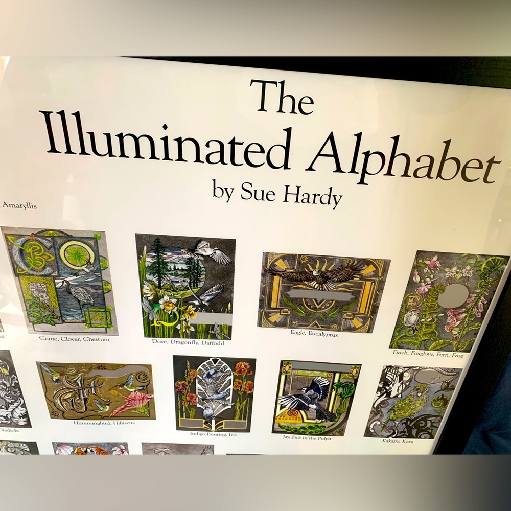 “Illustrated Alphabet” by Vischon WA artist, Sue Hardy - Picture 5 of 9